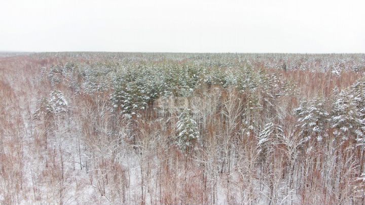 Участок 9,6 сот. (СНТ, ДНП)