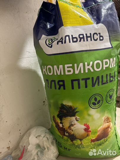 Комбикорм для птицы