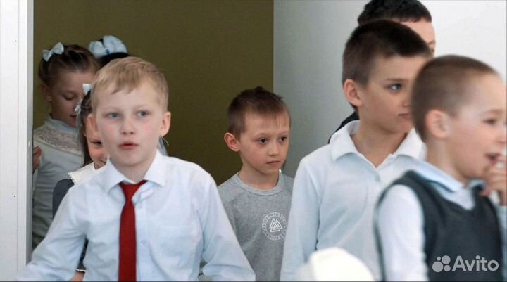 Продам готовый бизнес рисунки лесные жители