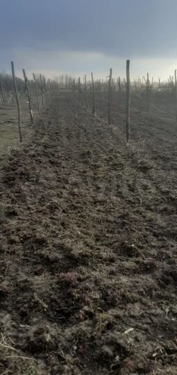 Участок 2,45 га (СНТ, ДНП)