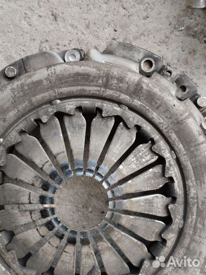 Сцепление шнива