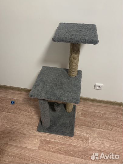 Когтеточка