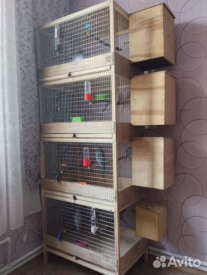 Клетка для попугая,разводной бокс вольер