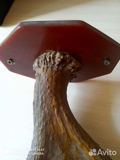 Лосиные рога