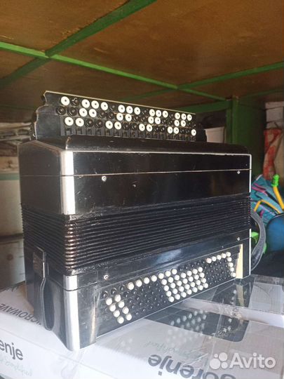 Баян тульский