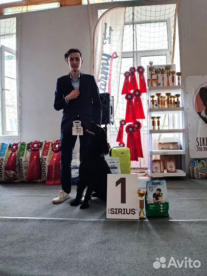 Услуги хендлера