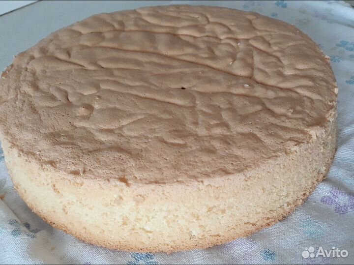 Бисквит. Просто бисквит