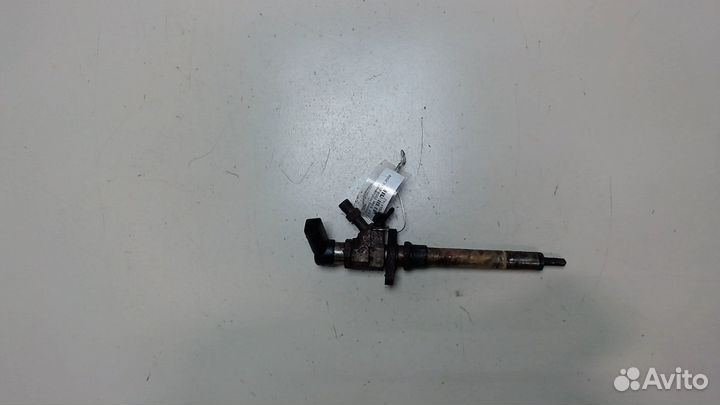 Форсунка топливная Ford S-Max, 2009