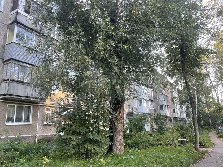 2-к. квартира, 47,3 м², 2/5 эт.