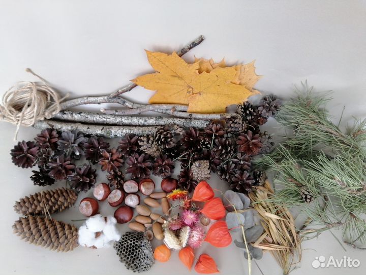 Природный материал на поделки в школу сад