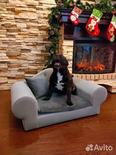 Диван для собак