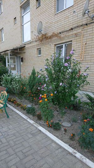 1-к. квартира, 40 м², 4/4 эт.