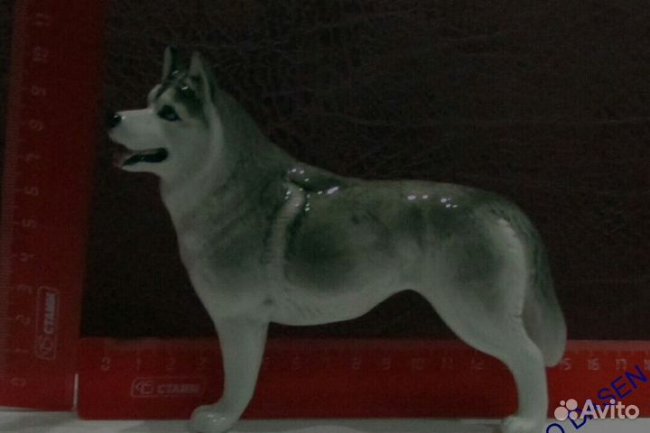 Хаски фарфор