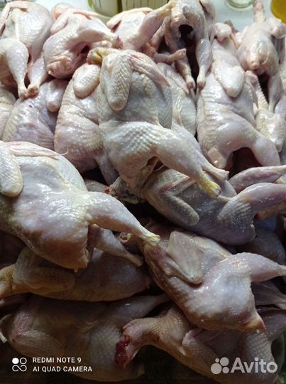 Мясо перепелинное