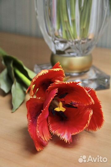 Букет тюльпанов