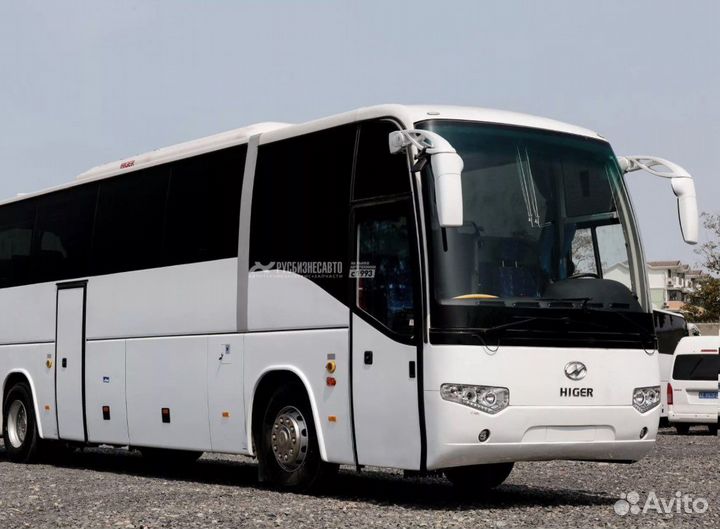 Пассажирские перевозки автобус