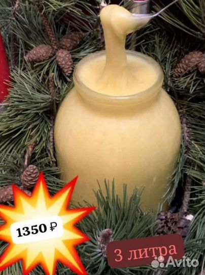 Вкуснейший мед 3 литра