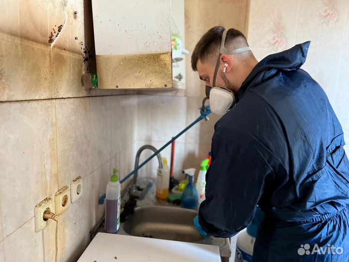 Уничтожение тараканов / обработка от клещей