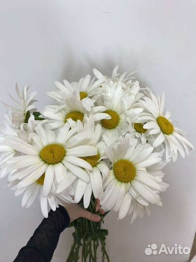 Цветы мелким оптом самозанятым и ип