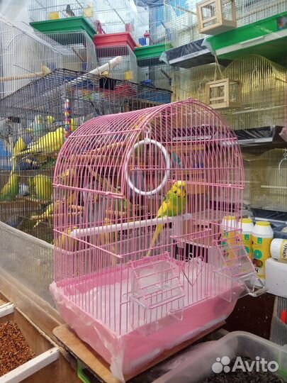 Клетки для попугая. Ц.Рынок
