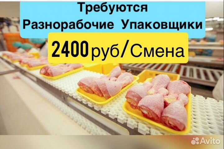 Упаковщик/разнорабочий муж/жен на птицефабрику