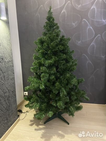 Царь Елка Алтайская 180 см