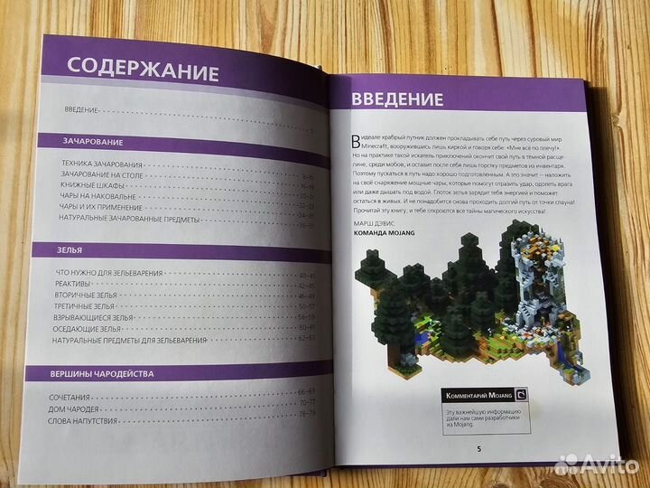 Майнкрафт книги Зелья и чары, Крипер у порога