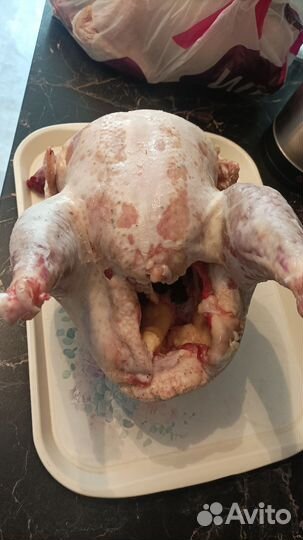 Мясо домашней индюшки