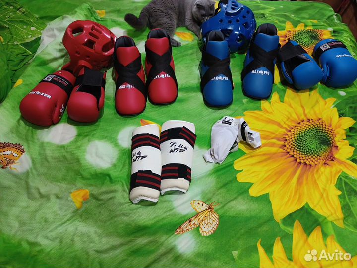 Экипировка для тхэквондо max pro