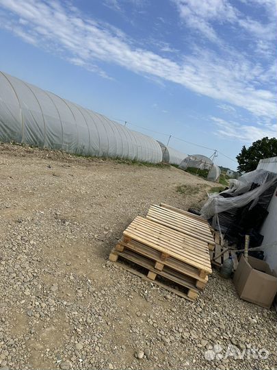 Клубничные поля