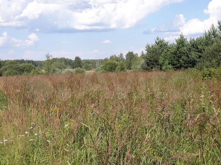 Участок 13 сот. (ИЖС)