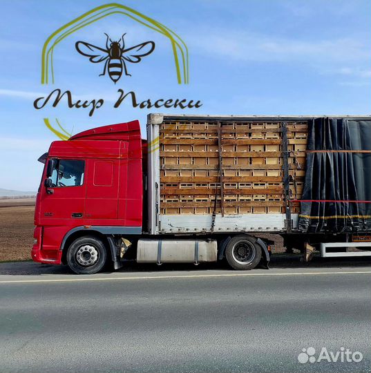 Пчелопакеты