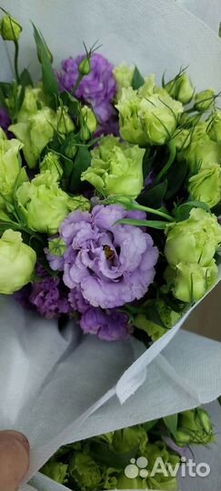 Букет Эустома