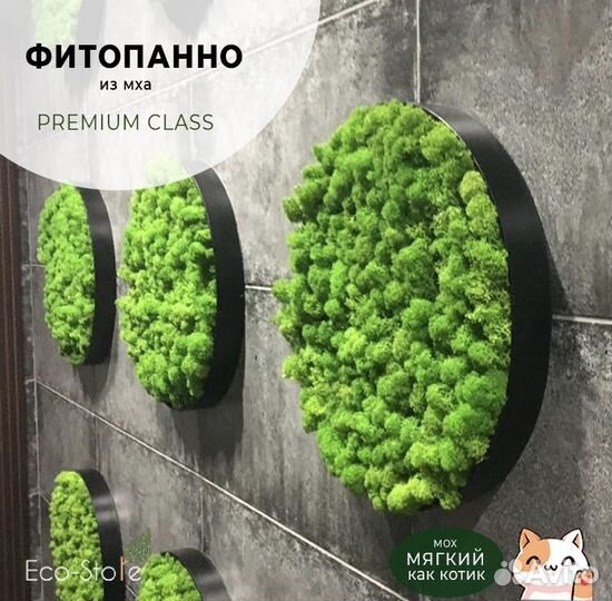 Фитопанно из мха круглое