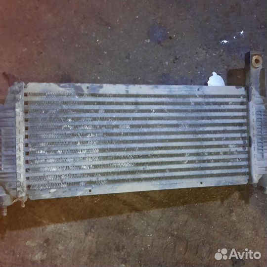 Интеркулер Nissan Navara yd25