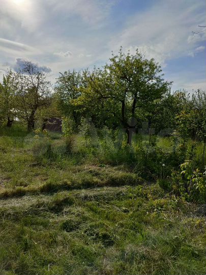 Участок 7,4 сот. (СНТ, ДНП)