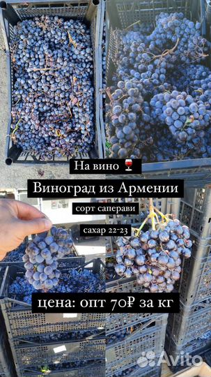 Виноград свежий
