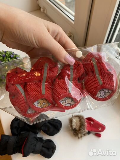 Ботинки для маленьких собак