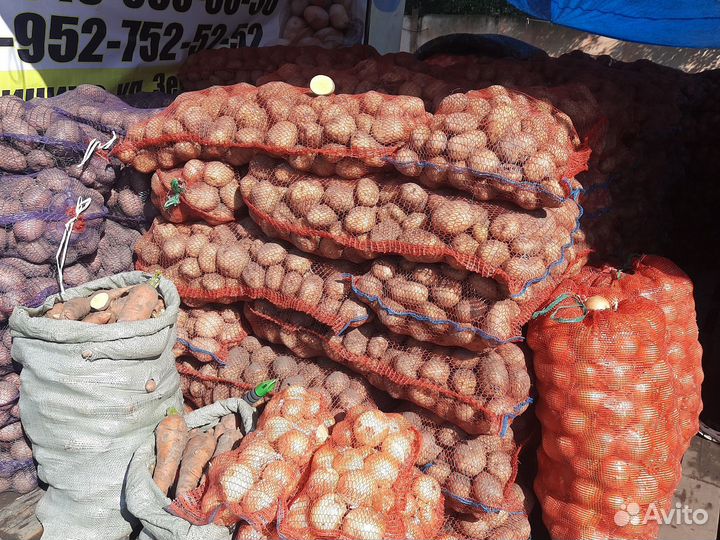 Продам картофель доставка бесплатно