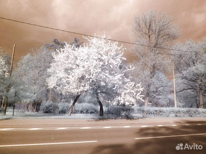 Инфракрасный фотоаппарат Panasonic, Full Spectrum