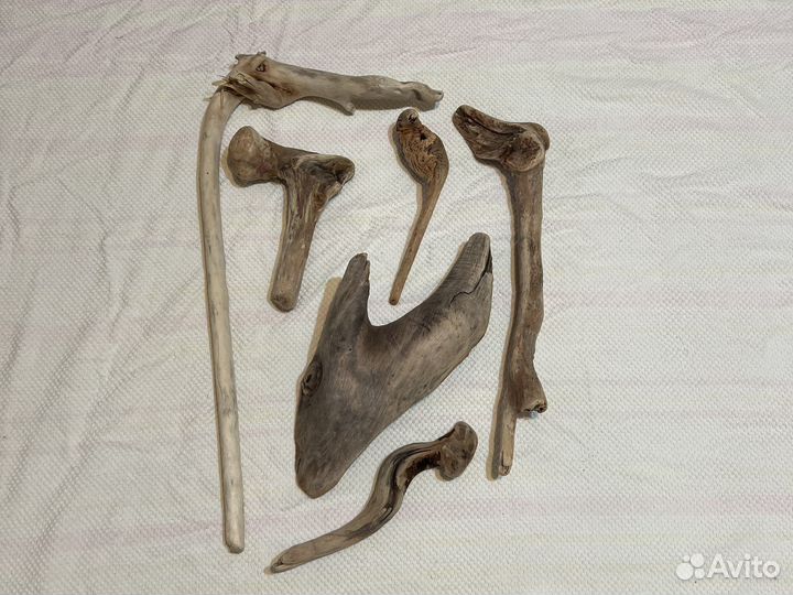 Топляк дрифтвуд сочинский