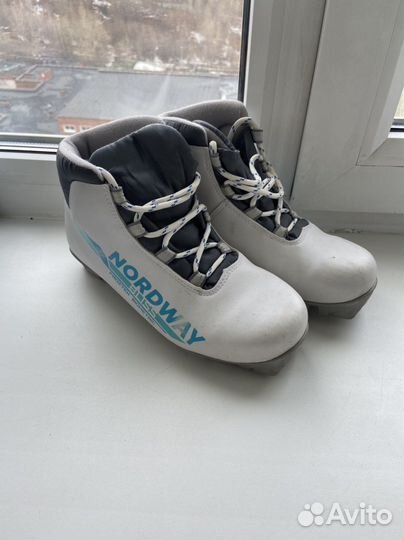 Лыжные ботинки nordway 38