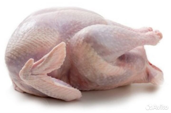 Мясо домашней индейки