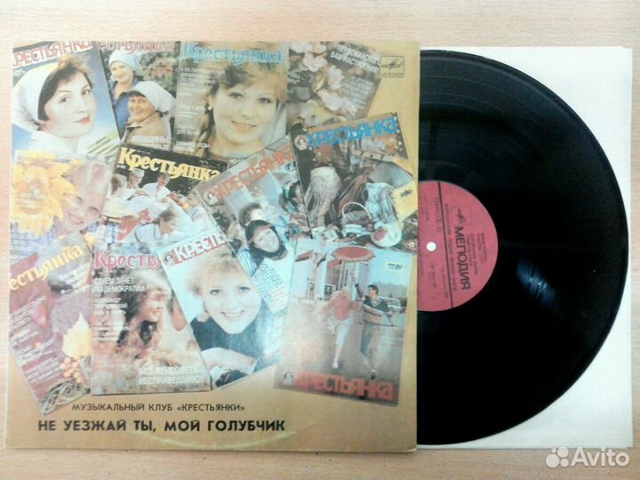 Виниловые пластинки