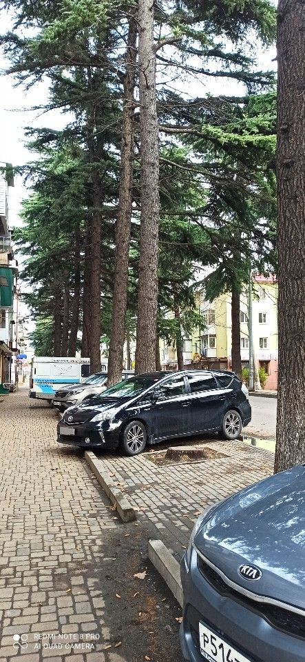 Toyota Prius Alpha: фото владельца
