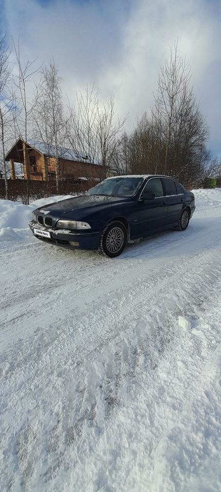 BMW 5 серия: фото владельца