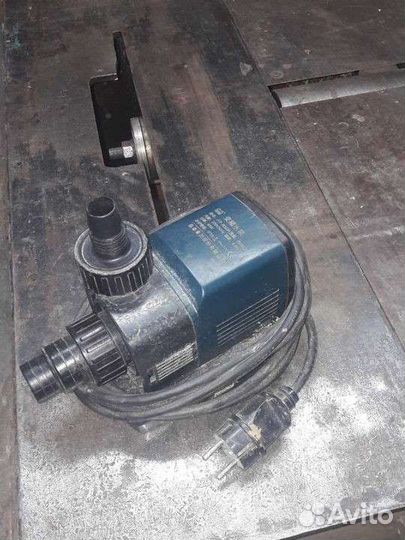 Разведение рыбы дома