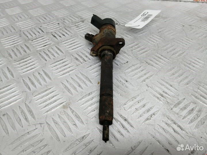 Форсунка для Peugeot-Citroen Picasso