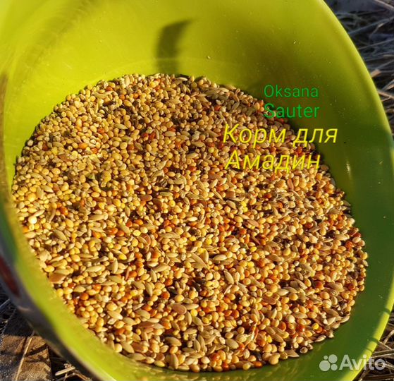 Корма для птиц