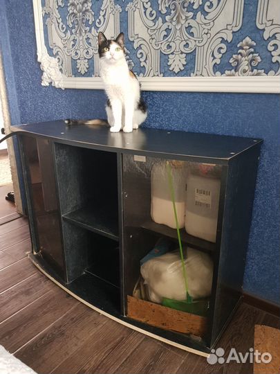 Тумба для аквариума Коряги для аквариума